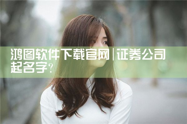 鸿图软件下载官网