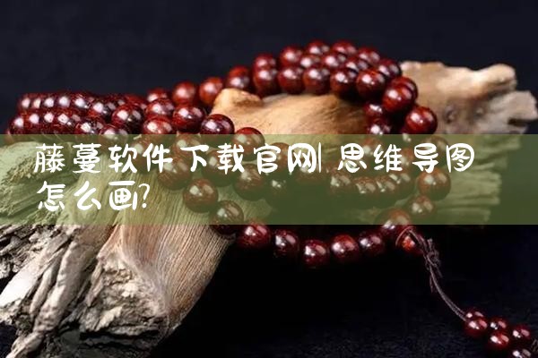 藤蔓软件下载官网