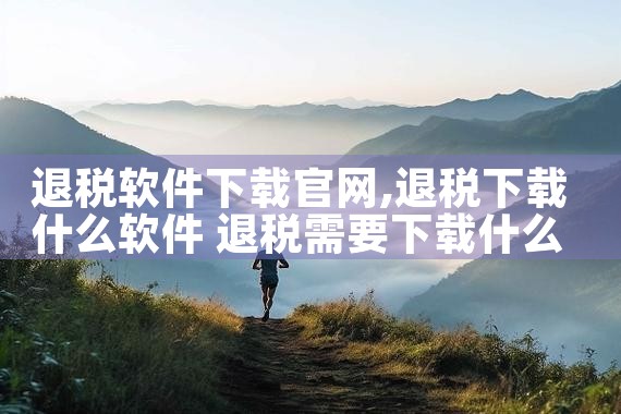 退税软件下载官网
