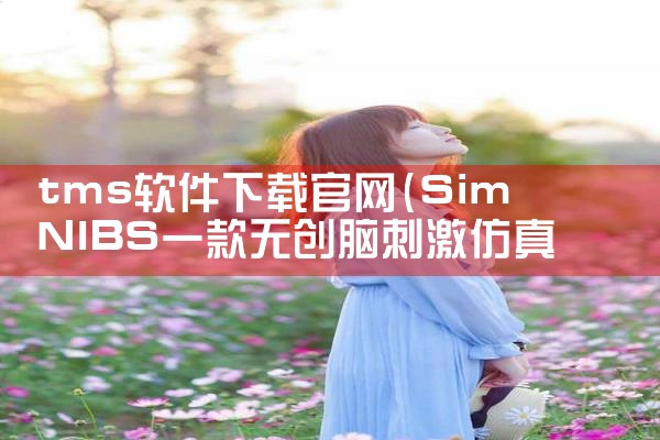 tms软件下载官网