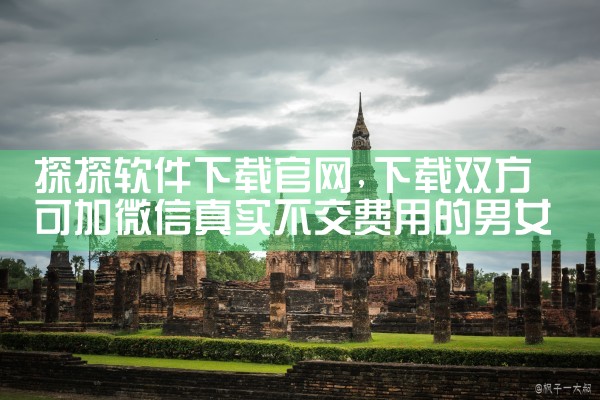 自动加密平台下载软件