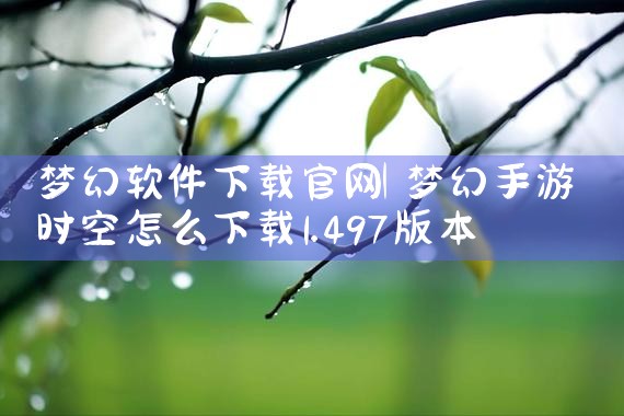 梦幻软件下载官网