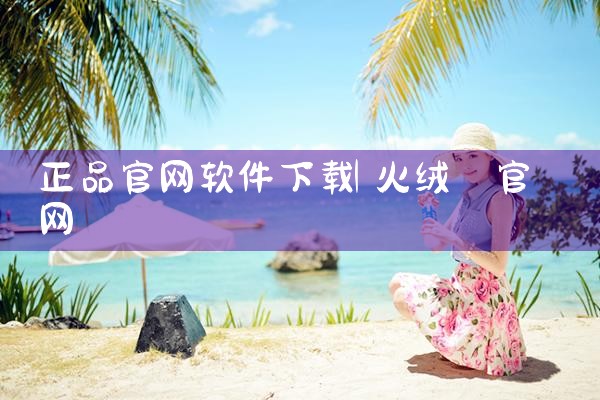 正品官网软件下载