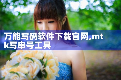 万能写码软件下载官网