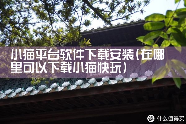 小猫平台软件下载安装