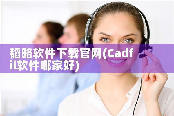 韬略软件下载官网