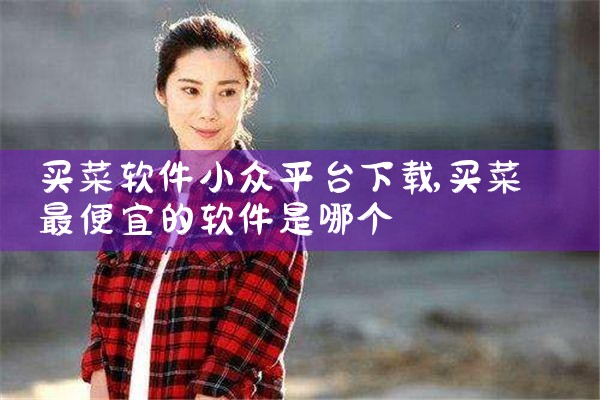 买菜软件小众平台下载