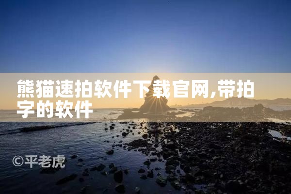 熊猫速拍软件下载官网