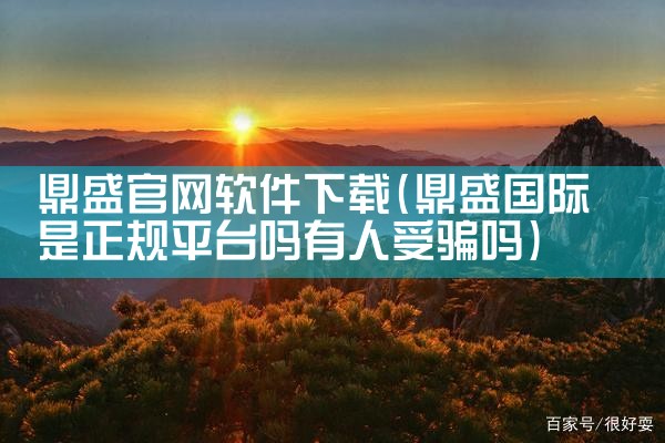 鼎盛官网软件下载